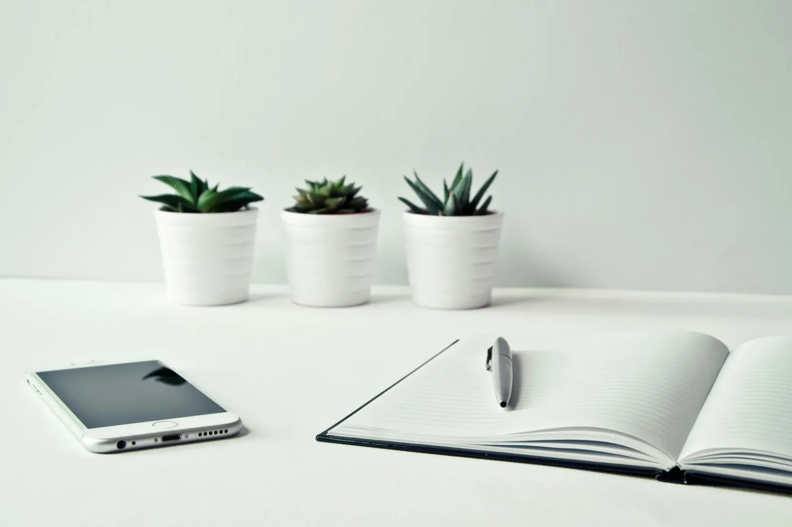 Incorporating Biophilic Design into Your Living Space